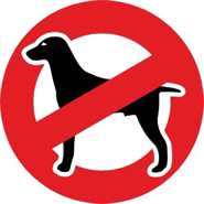 Hunde nicht erlaubt
